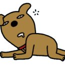 뭐먹을래 이미지