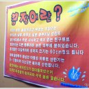 불티꼼장어 이미지