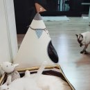테트라쿠션