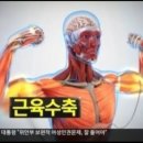리미티드샵 이미지
