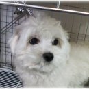 역촌동 43-12 /1 이미지