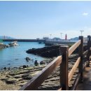 여기는 팔포항입니다 이미지