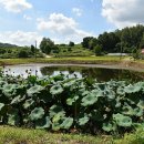 노암3리 이미지