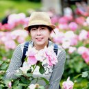 2024년 5월 26일 (일) 중랑 장미공원 즐기기 ♧ 자유.발리 대장님 (3) 이미지