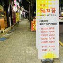 백운돼지꿈 이미지