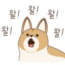 경원카모터스 이미지