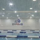 물개키즈스윔 | 영등포 키즈 수영장 물개키즈스윔 후기