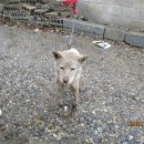 동해여관 이미지