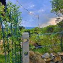 달밤한옥펜션 이미지