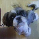 반포1동010 이미지