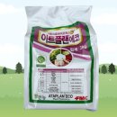 나래플랜