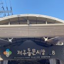 [제주] 서쪽여행 일기 2일차:) 내가 가보고 싶은곳+여유롭게 현지인 추천집 뿌순날 제주동문시장...