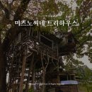 [2023 새만금 팸투어] 김제 가볼만한곳 테마카페 미즈노씨네 트리하우스
