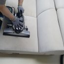 영토빌딩 | [대전소파청소 만족후기] 찐친에게 자신 있게 추천! 여기 맡겨봐!