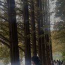해량