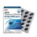 아이뷰플러스