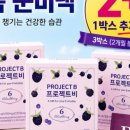 프로젝트비
