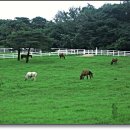 원당공원 이미지