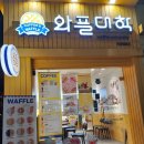 와플대학석관캠퍼스