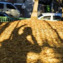 금정제일공원 이미지