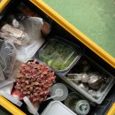 오금청소년센터 | 자립생활지원 고등반 플로리스트 후기수업! 오금청소년센터 이끼테라리움 직접해 봤어요