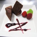 빠찌애견 이미지