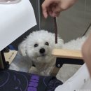 더뽑기샾(붕어빵 오뎅) | 25년 10월 넷째주 주간일기(소확행 주간, 그리고 따뜻한 결기데이)