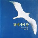 갈매기의 꿈 이미지