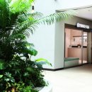 미다스치과의원 이미지