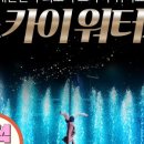 제주 스카이워터쇼 이미지