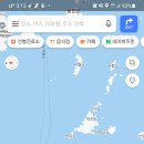 하모니플라워