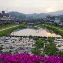 동향면행정복지센터 이미지