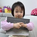 페브 이미지
