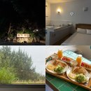 [제주락]제주 서귀포 감성숙소 202호 내돈내산 숙소후기 (feat.조식)