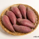 광선축산 이미지