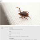 새니텍의 해충 정기방역 정기방제