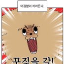 나라여행사주 네이버블로그