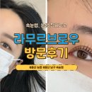 라무르브로우 | 울산삼산속눈썹펌 추천! 자연스러운 눈썹문신까지 만족한 달동 라무르브로우 후기