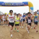 싱싱투어 이미지