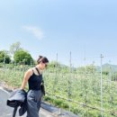 오스카안경원 이미지