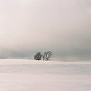 째즈 | [의정부 아일랜드 캐슬] 세바여 무료 공연, 조째즈 라이브 후기