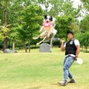 디스크독 연구소 이미지