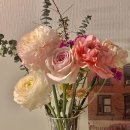컵/ 오캄 캔들 (가격, 정보, 후기)/ 마들렌 플라워/ 스크런치 추천/ 컬러위드클로젯 스커트...