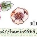 코지니 이미지