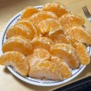 제주공항 근처 과일택배 가능한 과일집🍊 &lt;공항길귤창고&gt; 내돈내산 가격정보, 솔직후기