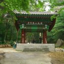 일송농장 | 용봉산 /충남 홍성(&#39;06.6.25)