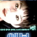 대한민국 5세대 미인들1 쎈언니들 라인 신은경 이본 김지호 김지수 김원희 이미지
