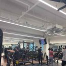 분당-113 이미지