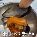 대한민국자연산횟집