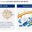 화장품 및 화장용품 도매업 이미지